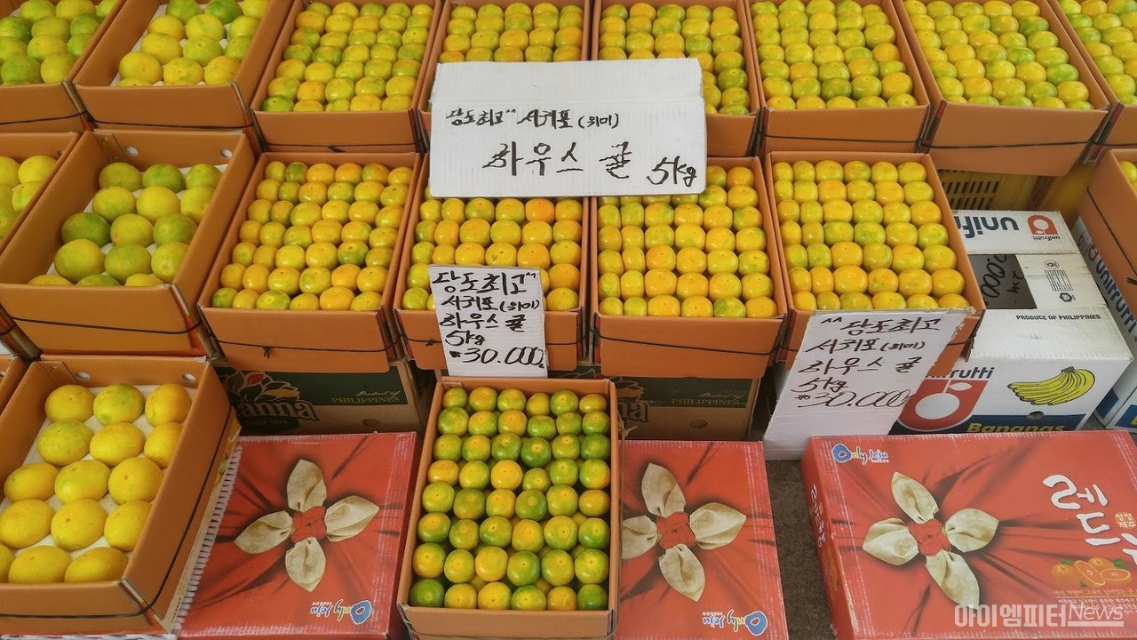 ▲오일장에서 감귤을 판매하는 모습. 올해는 15일부터 택배 발송을 하지 못해 매출이 급감했다. 