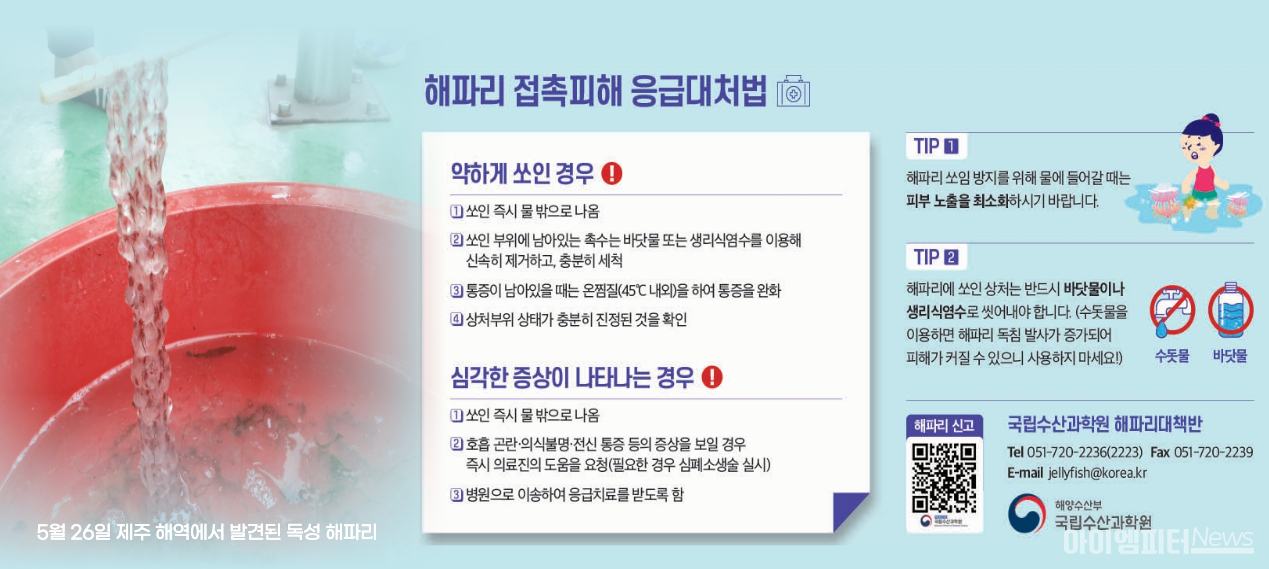 ▲국립수산과학원은 지난 5월 26일 제주 해역에서 독성이 강한 관해파리가 출현했다며 주의를 당부했다. 