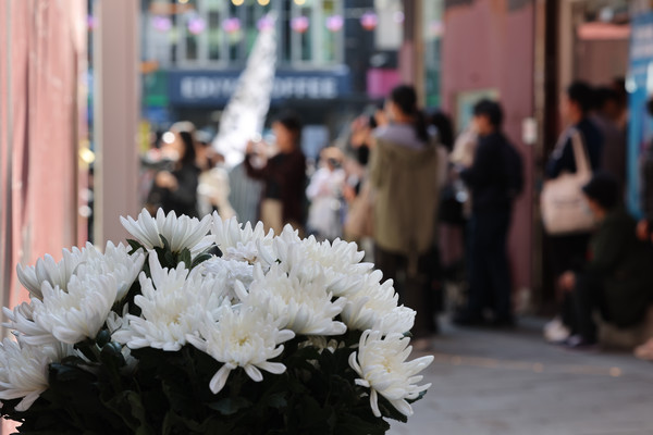 ▲ 10·29 이태원 참사 1주기를 맞은 29일 오후 서울 용산구 이태원 참사 현장에 마련된 '10·29 기억과 안전의 길'의 추모 공간에 국화꽃이 놓여있다.ⓒ연합뉴스