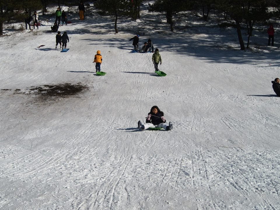 ▲제주 마방목장에서 눈썰매를 타는 아이들 